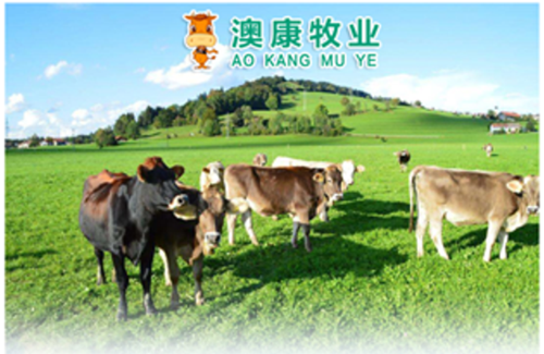 新疆天山澳康牧业在线养牛涉嫌非法集资