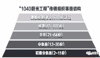 該傳銷組織按照